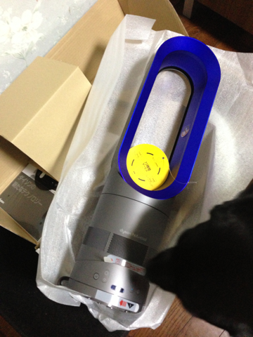 image-20121125211229.png